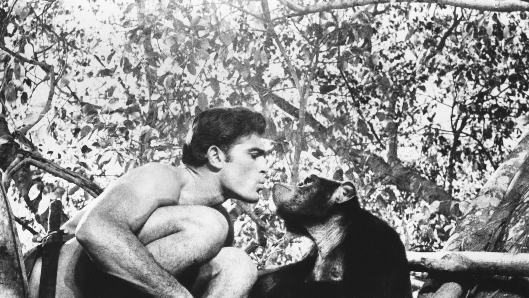 Tarzan (Mike Henry) Collection