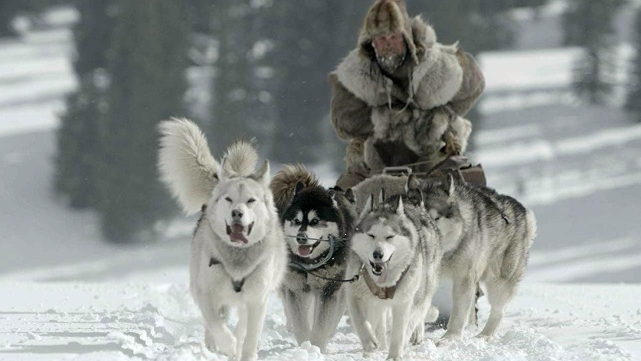 La gran carrera de Alaska