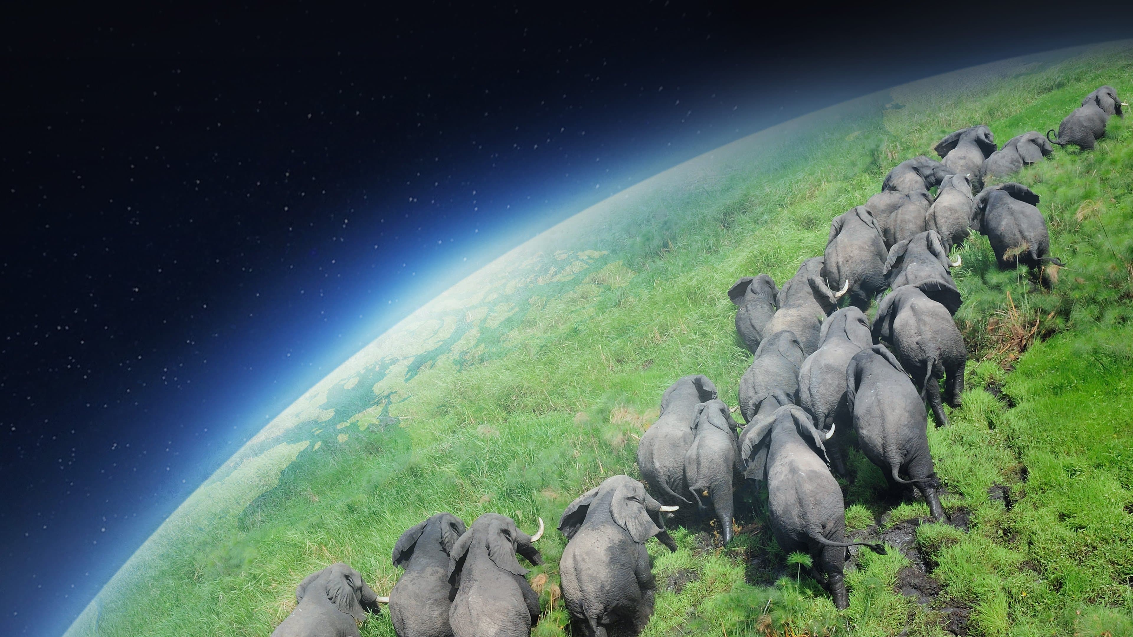 Planeta Tierra
