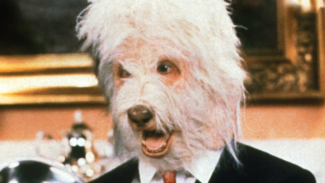 El regreso del perro humano