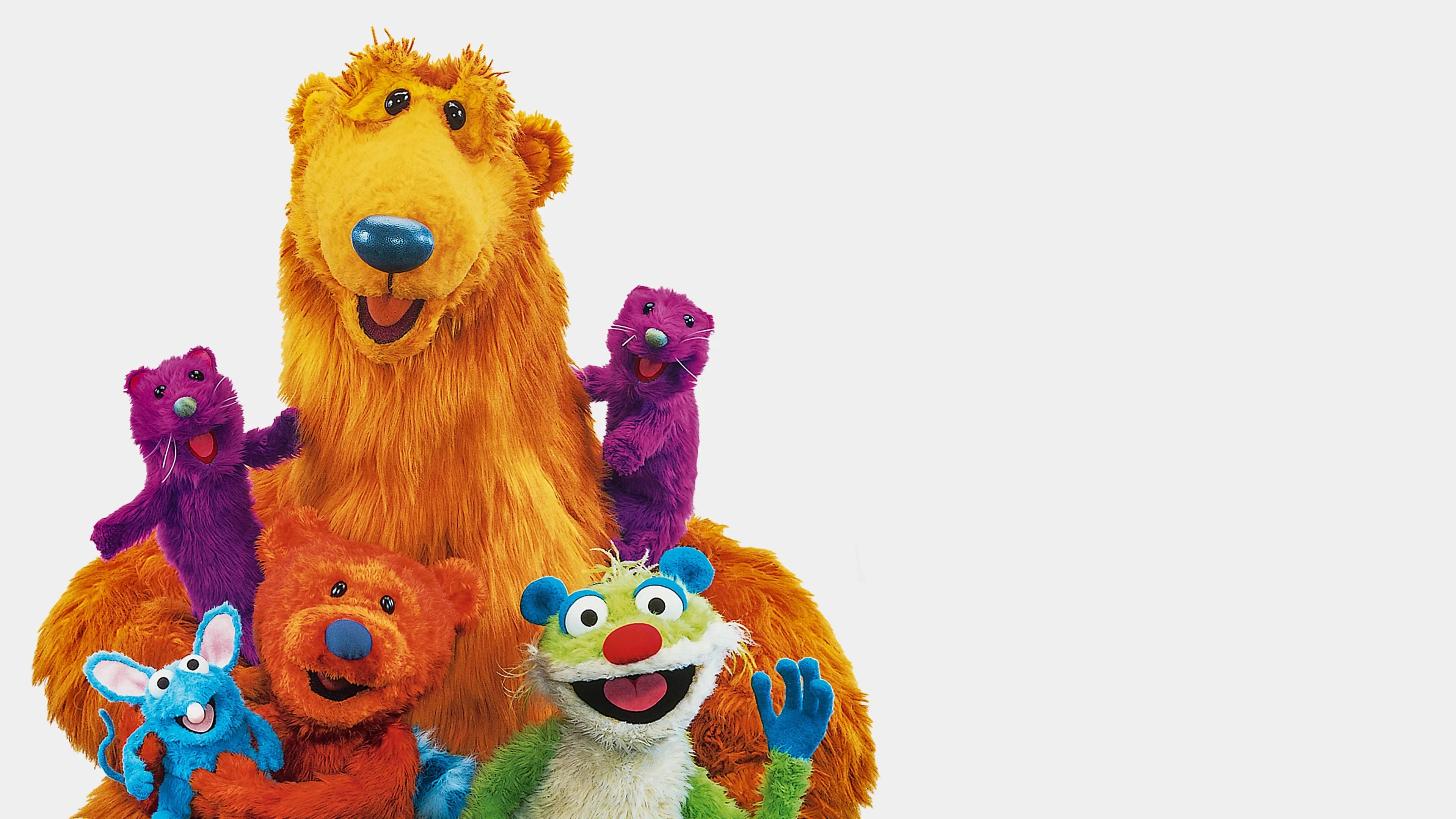 Bear en la gran casa azul