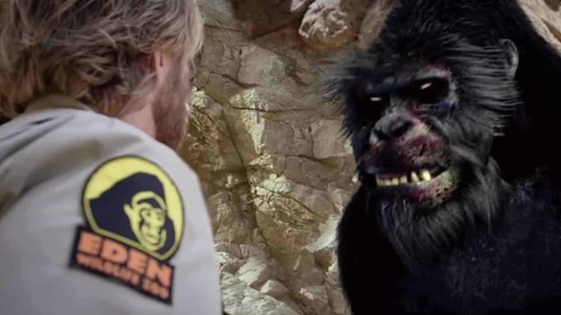 Zoombies Collection