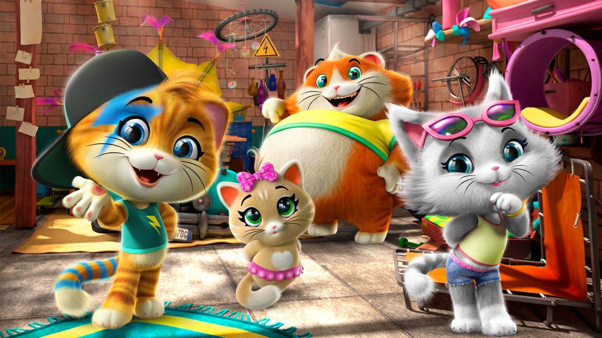 44 gatos