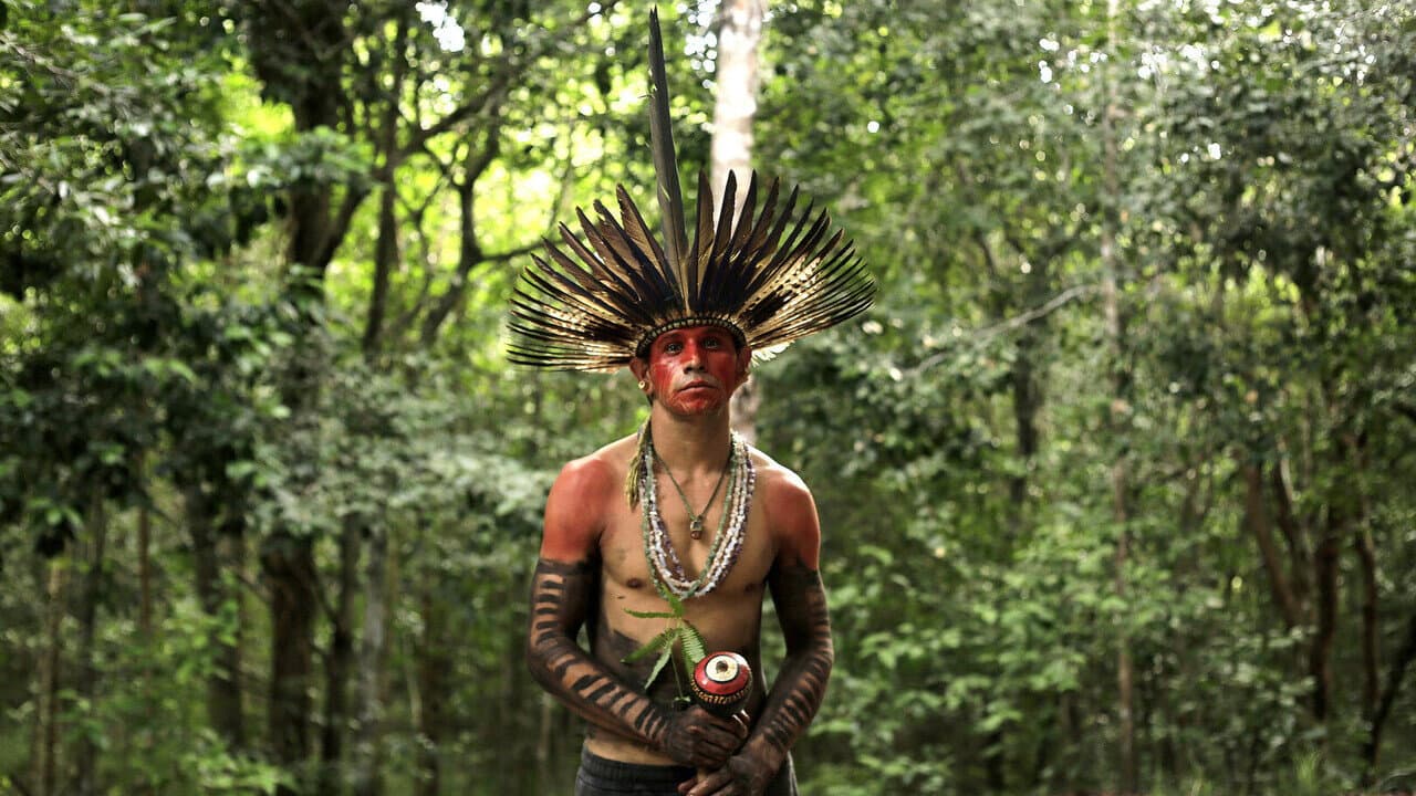 Aprendiz de chamán mukunã
