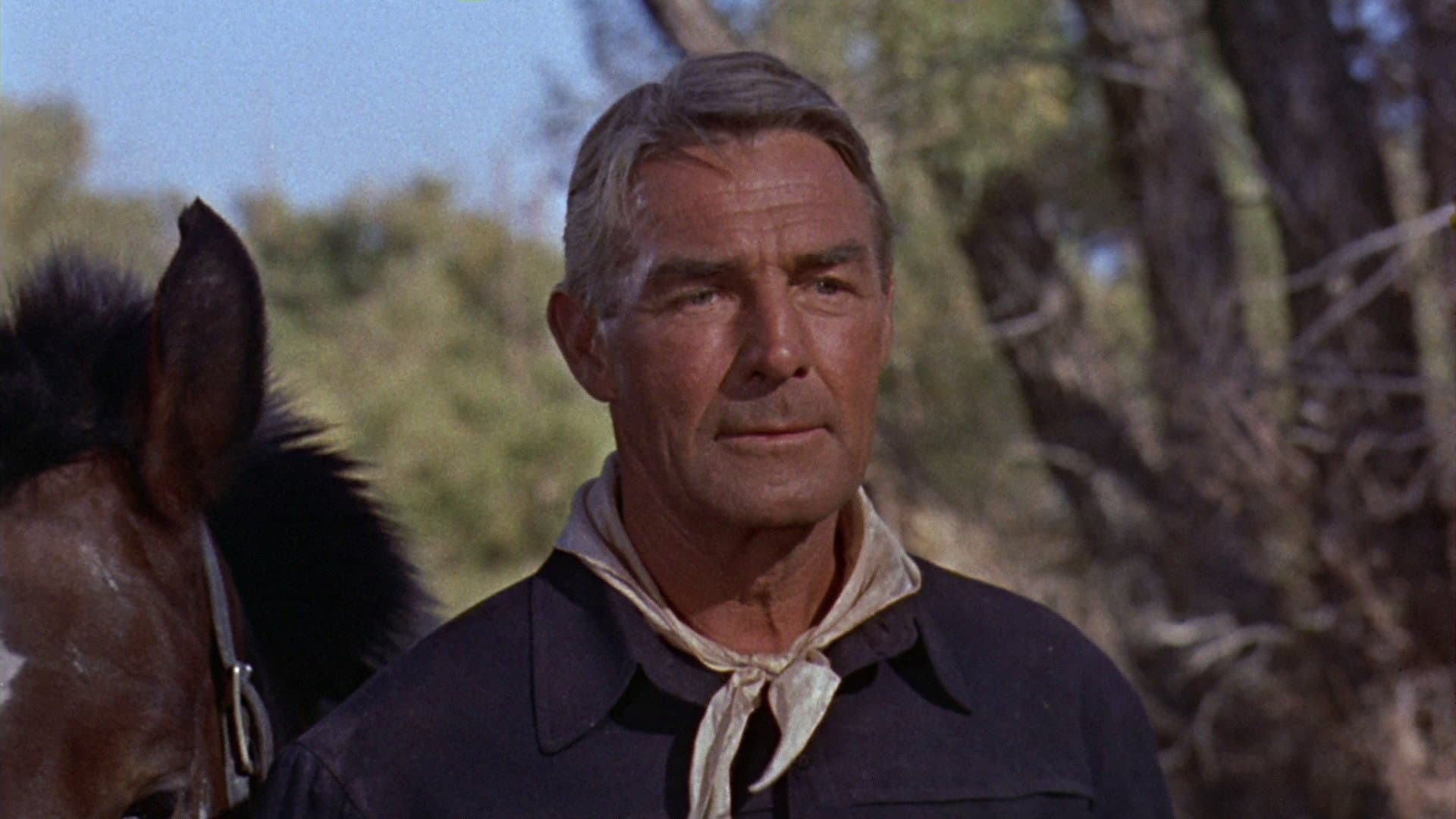 The Ranown Cycle Westerns Collection