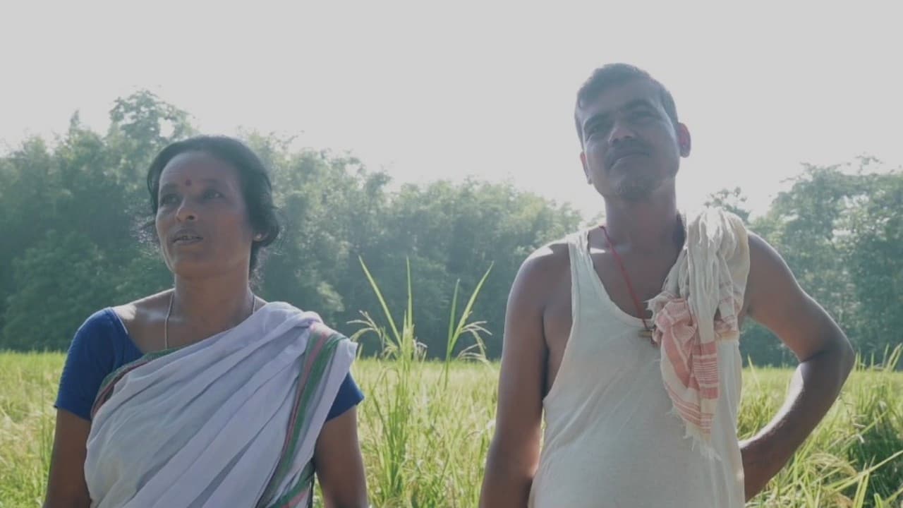 মাগুৰ