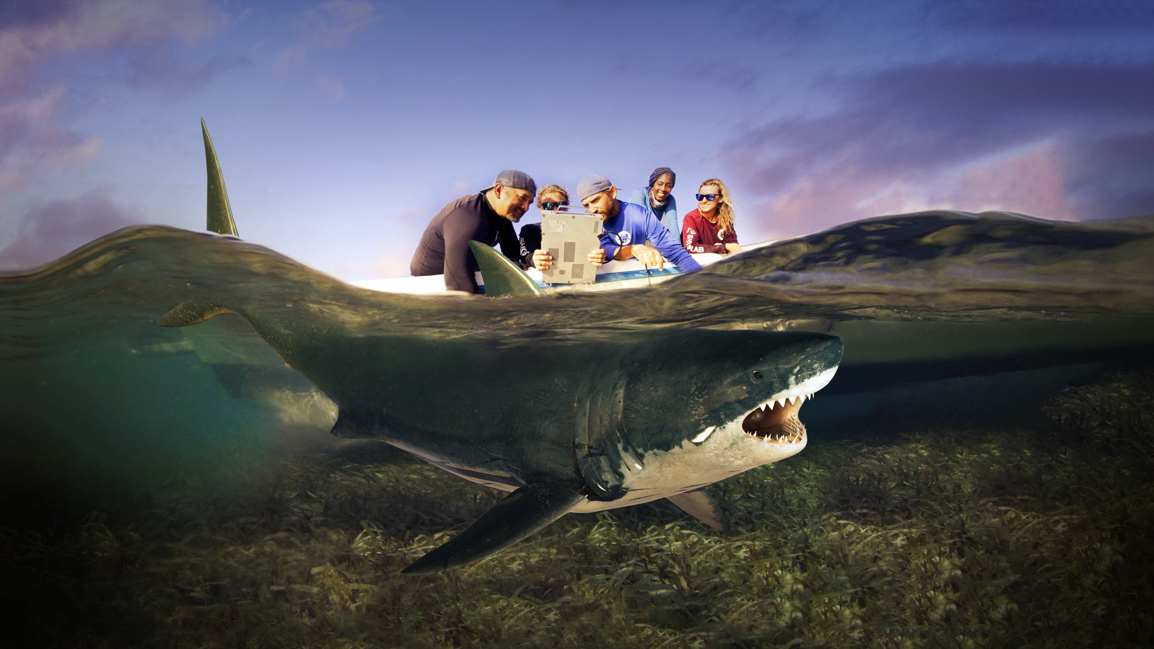 Ataque de Tiburones