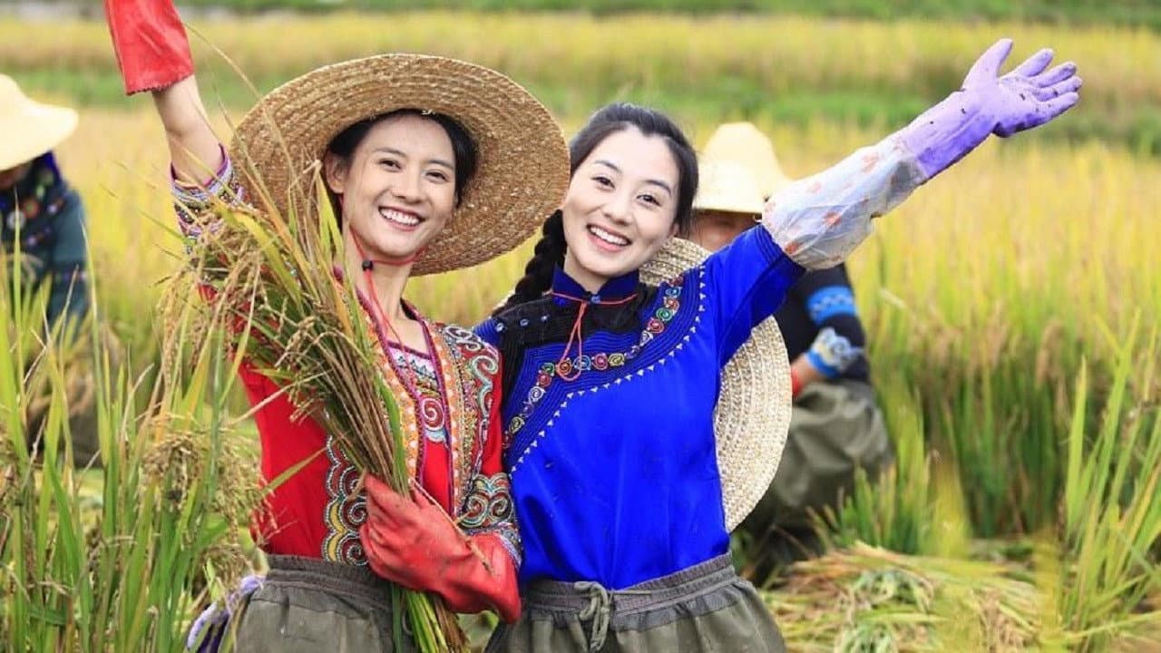 梯田姐妹