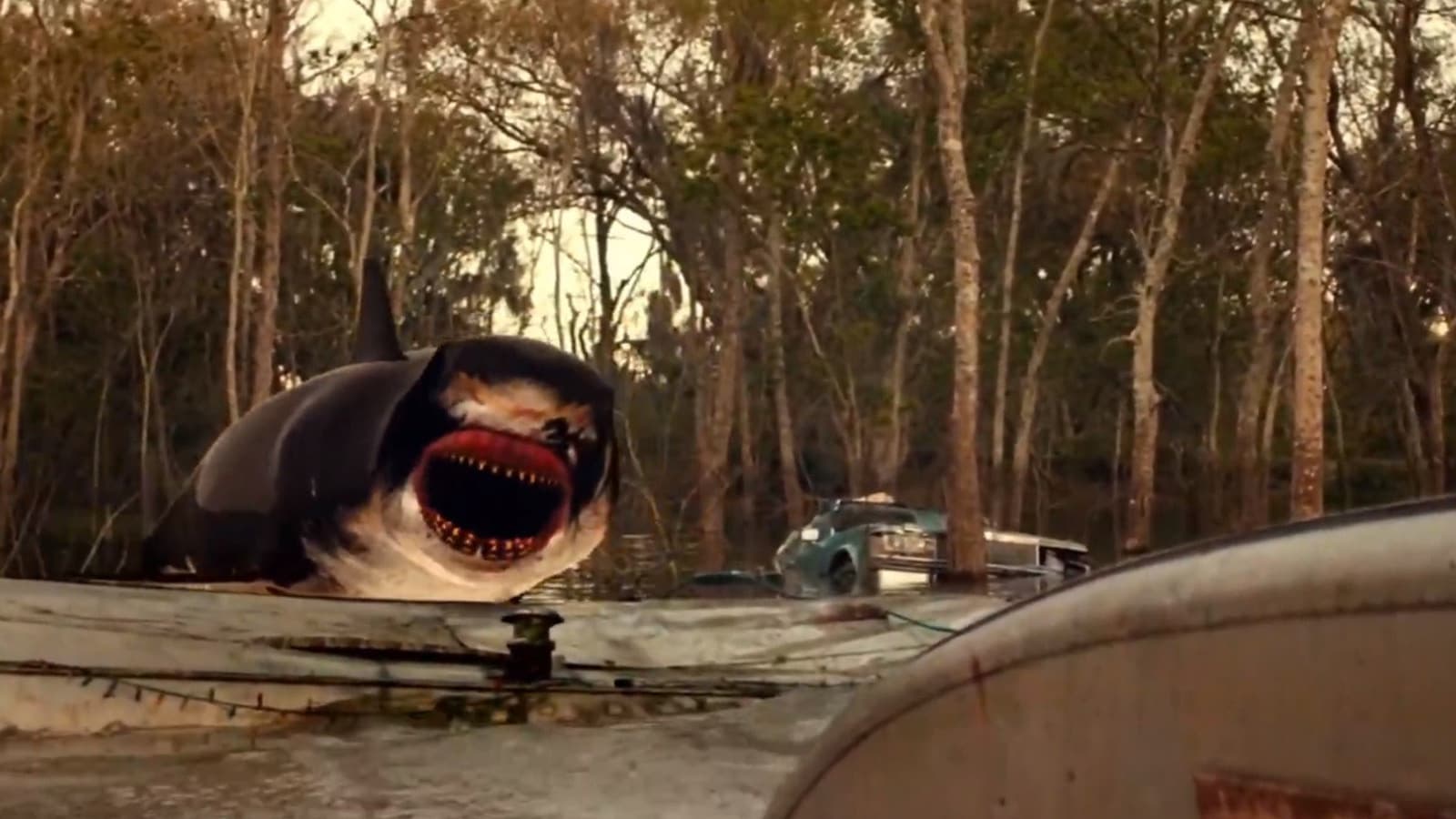 Choque de Tiburones