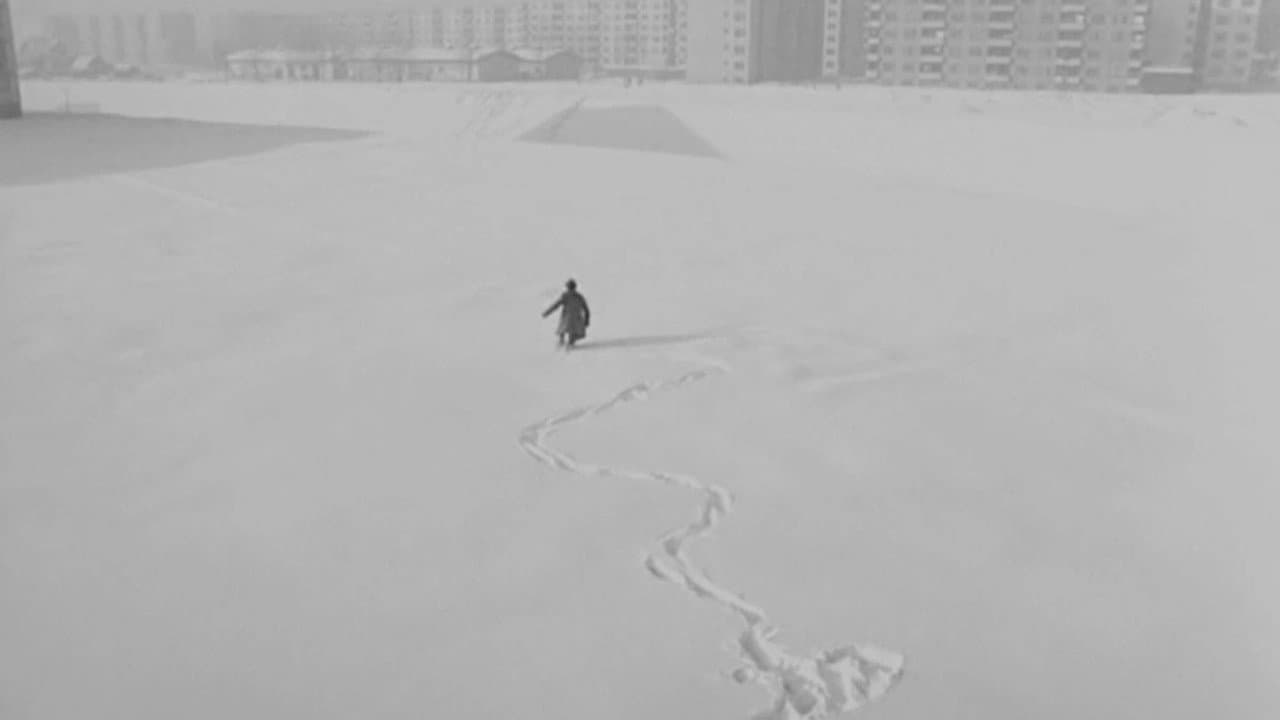 Патека