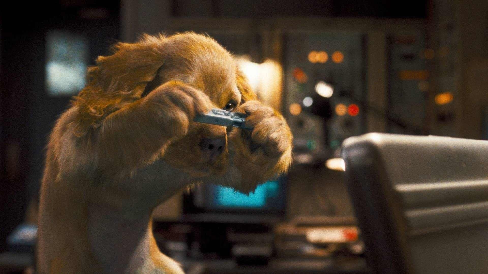 Como perros y gatos 2: La venganza de Kitty Galore