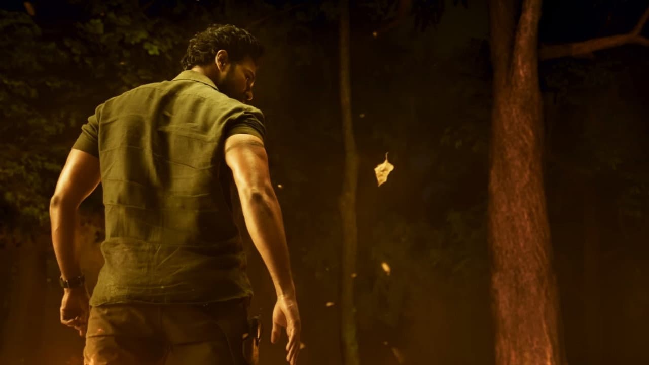 హైనదవ