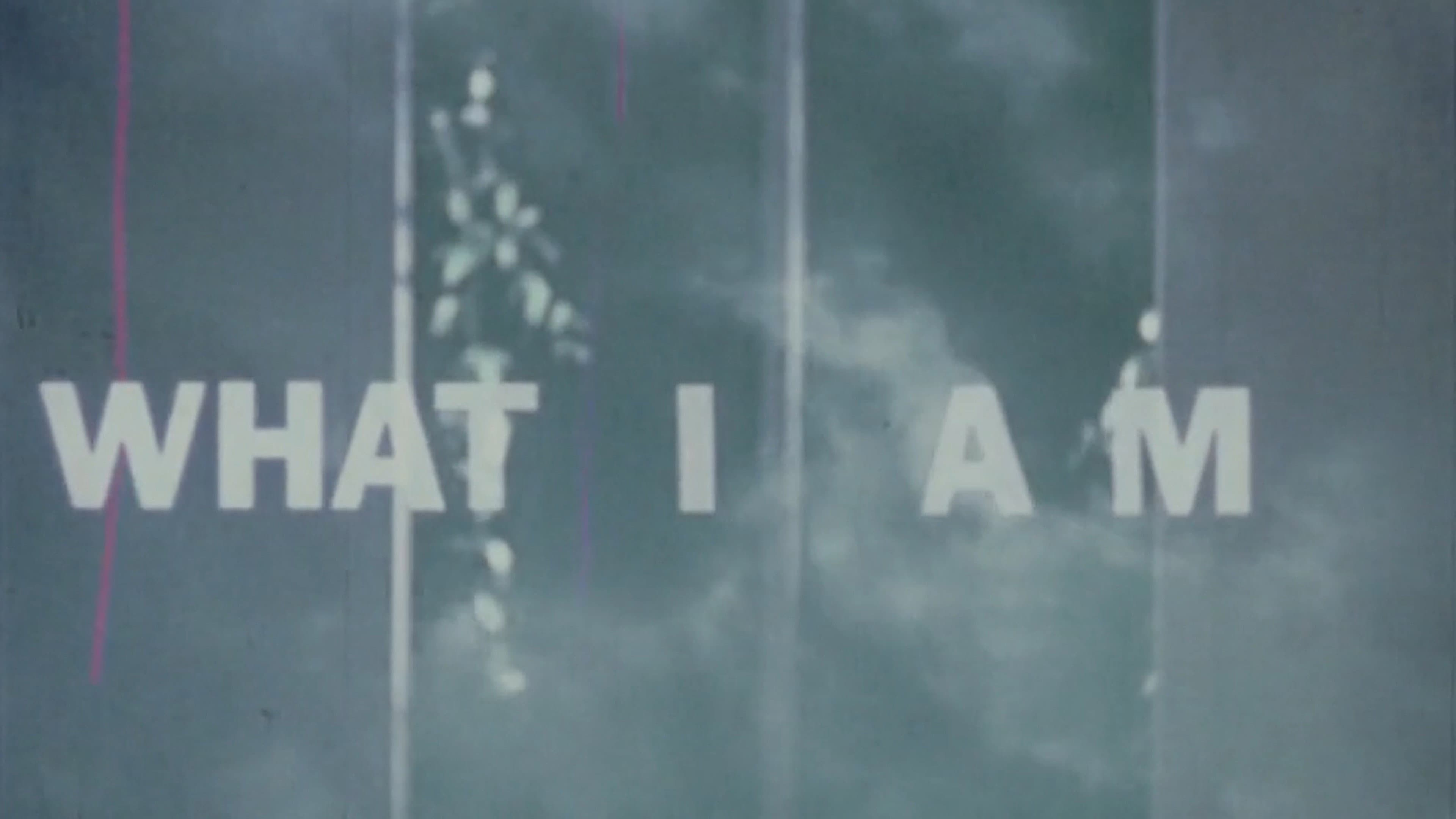 What Is A Man?