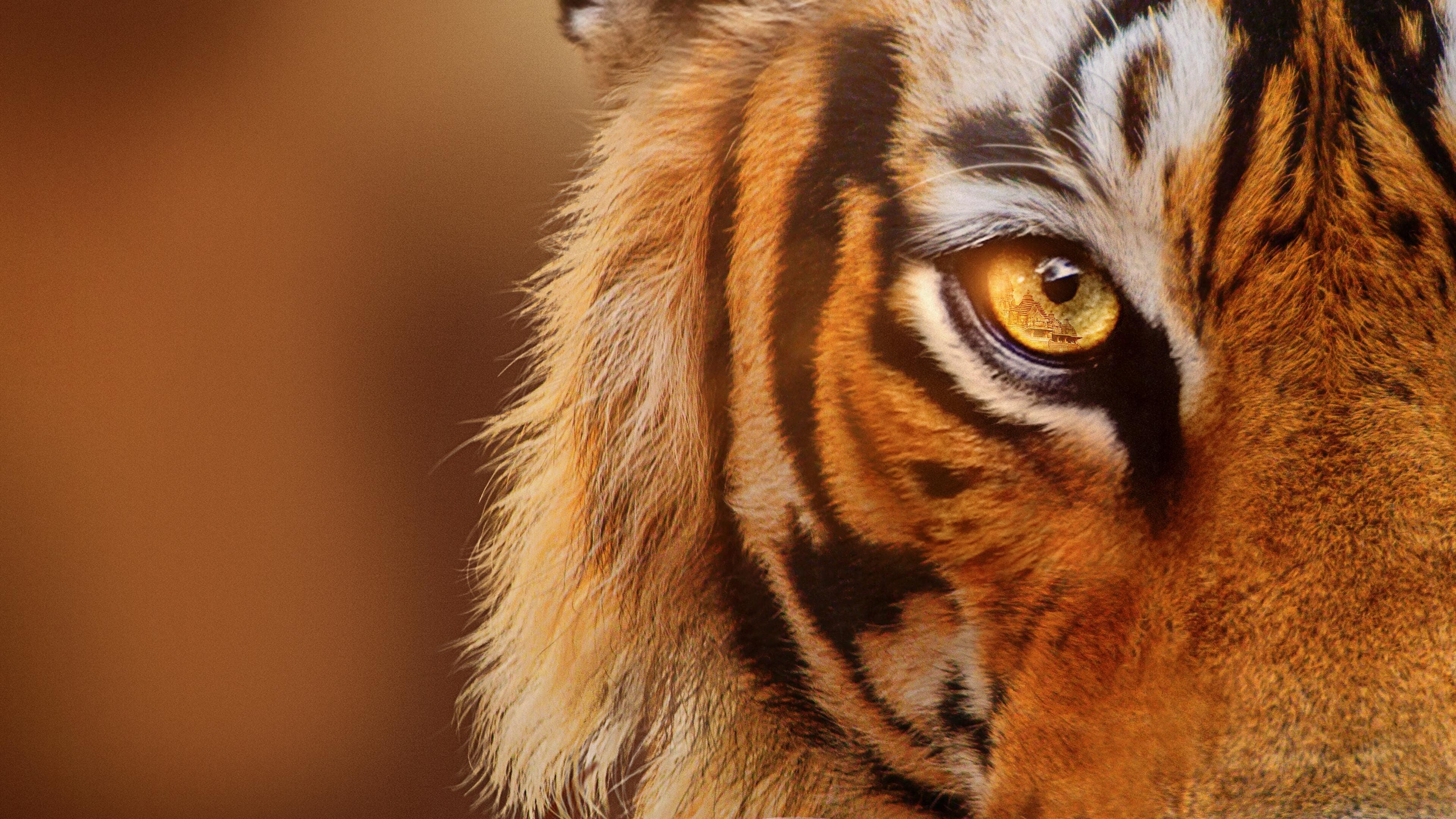 Crianza de tigres
