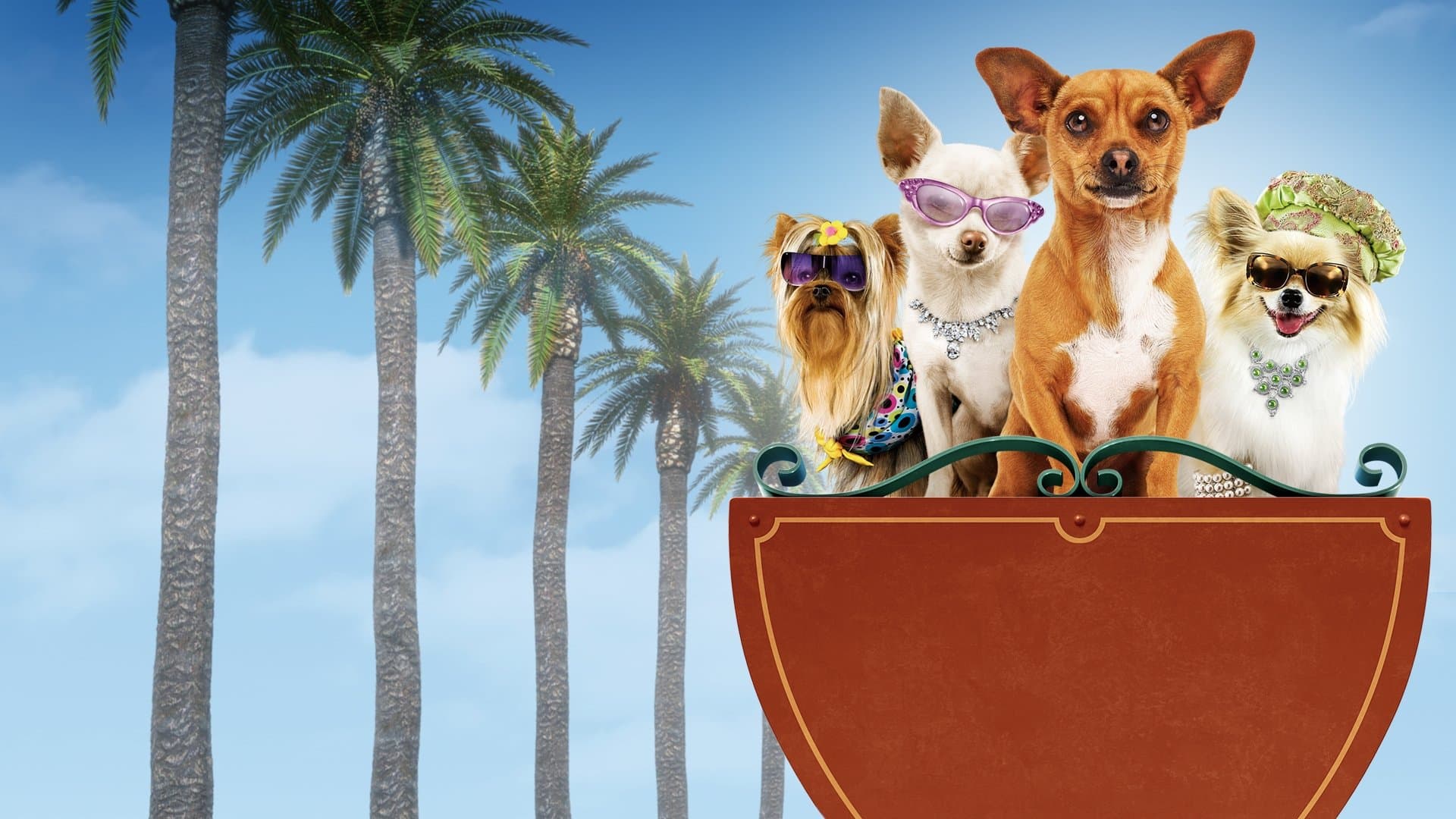 Una chihuahua de Beverly Hills - Colección