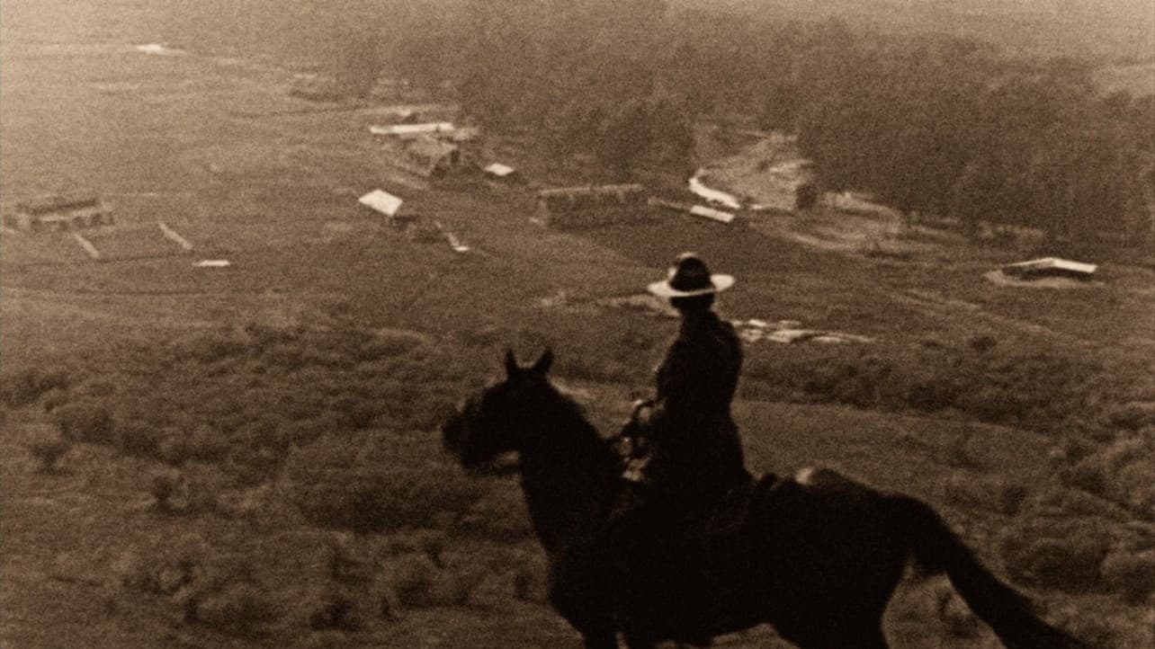 The Calgary Stampede