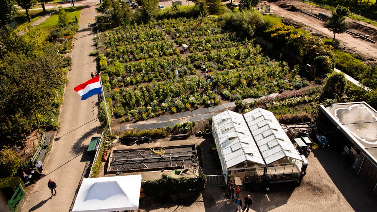 De schooltuin