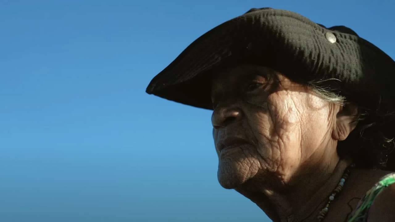 Como Matar um Rio