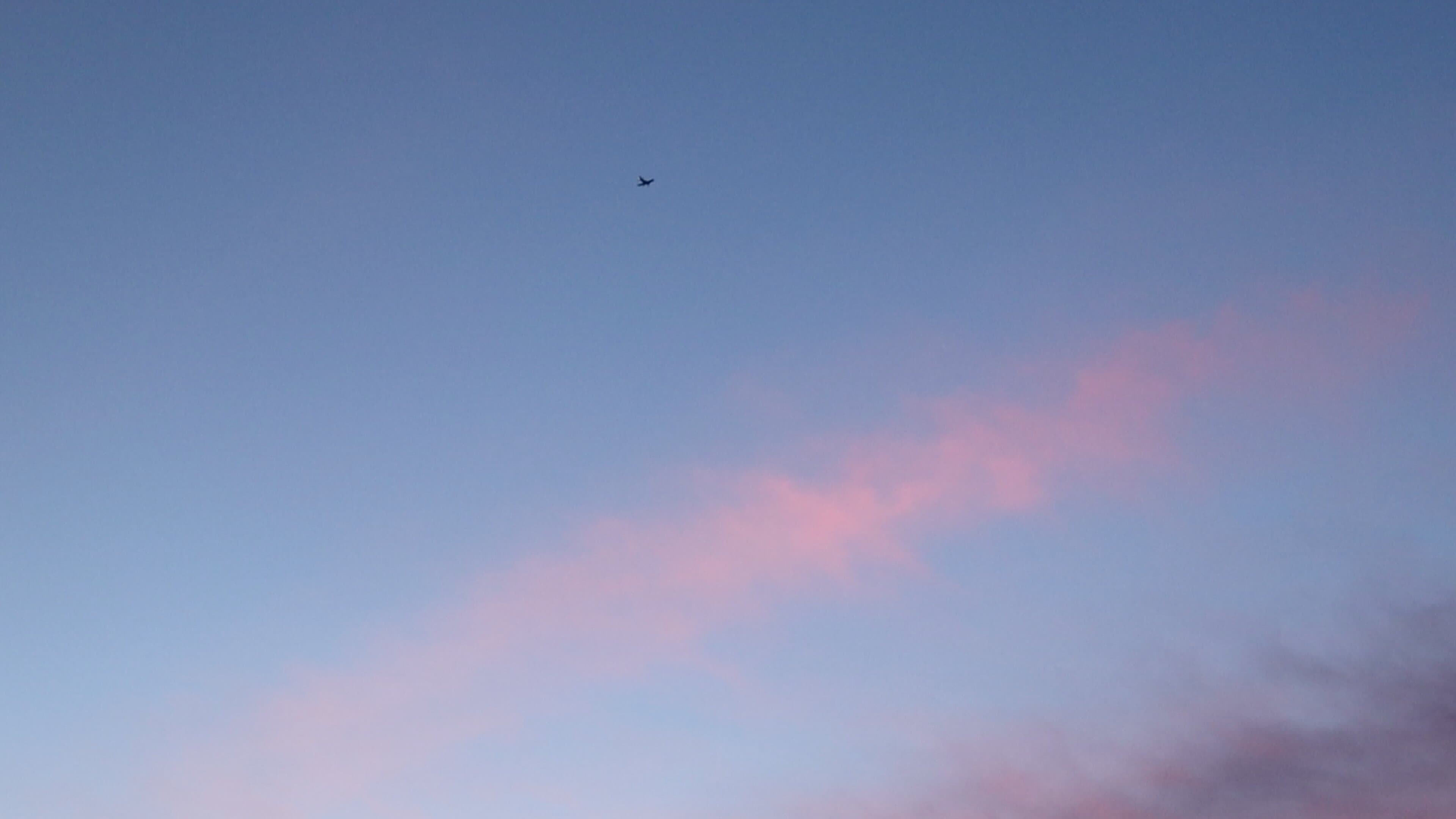 Pink Skies