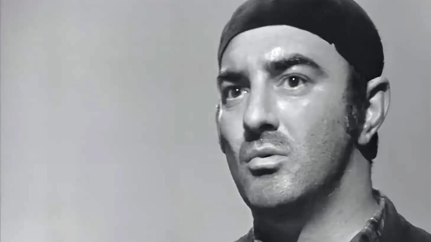 Diplomci