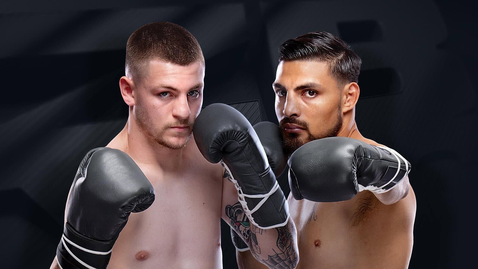 Zuffa Boxing 01