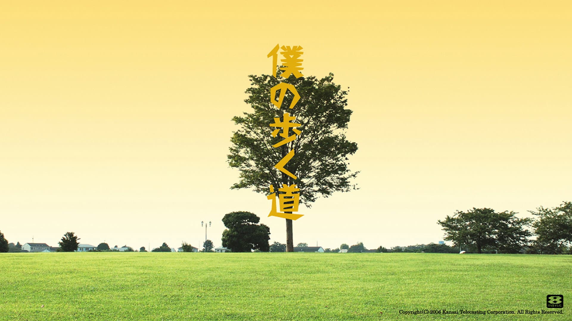 僕の歩く道