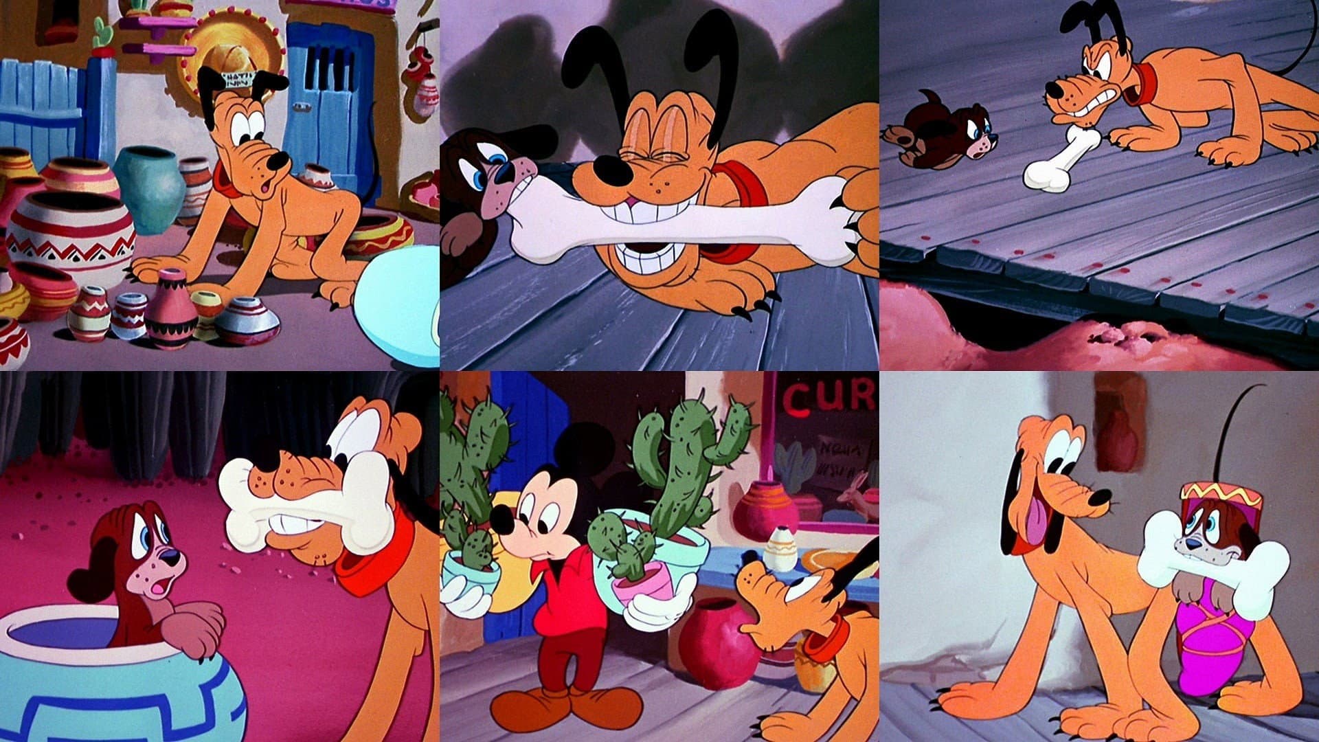 Pluto en Mexico