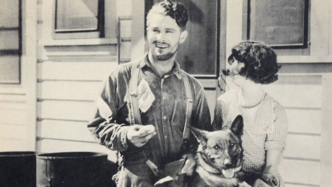 Wolfheart the Dog