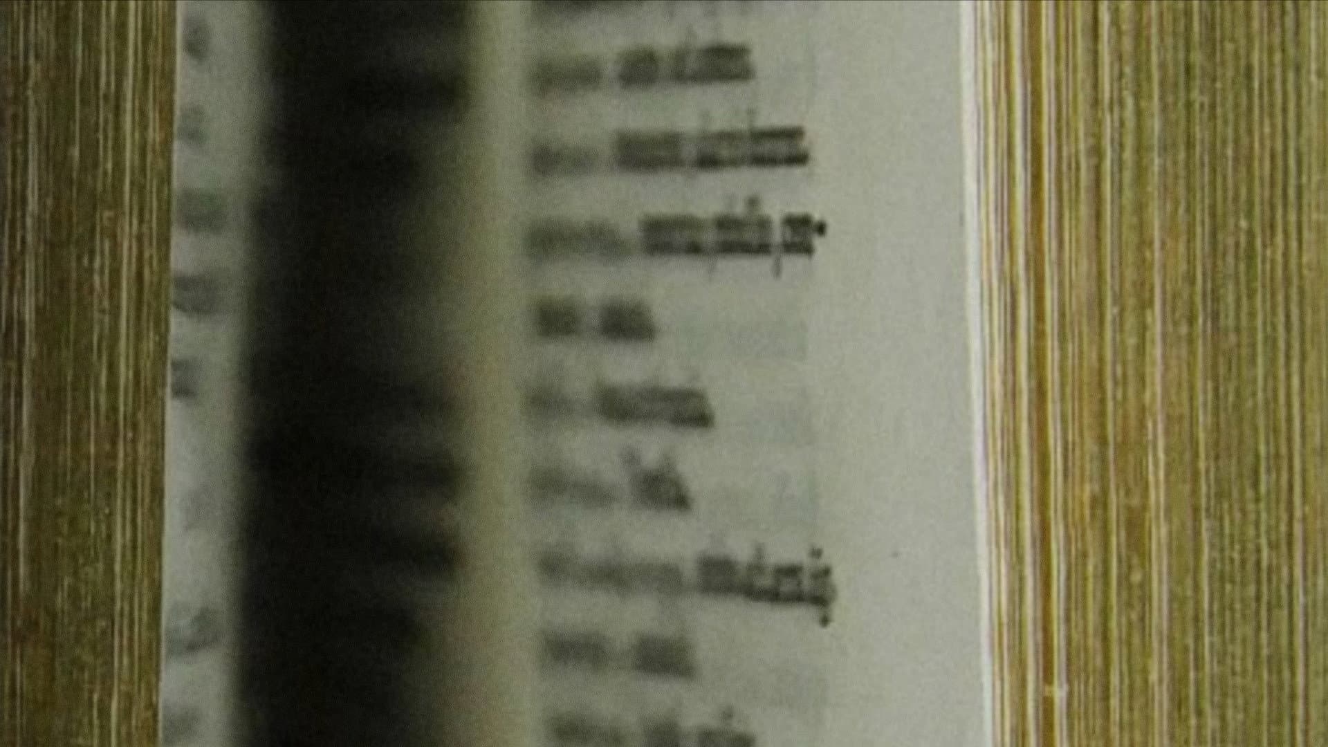 Micrographia