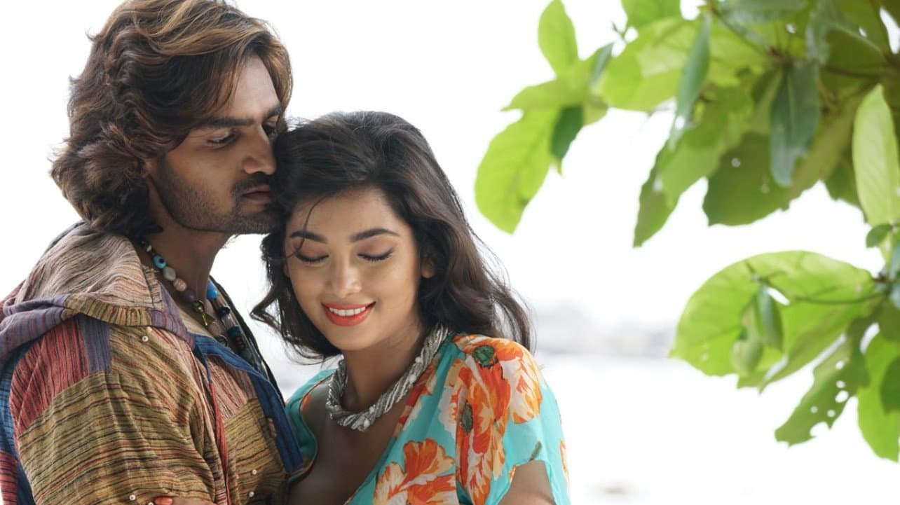 హిప్పీ