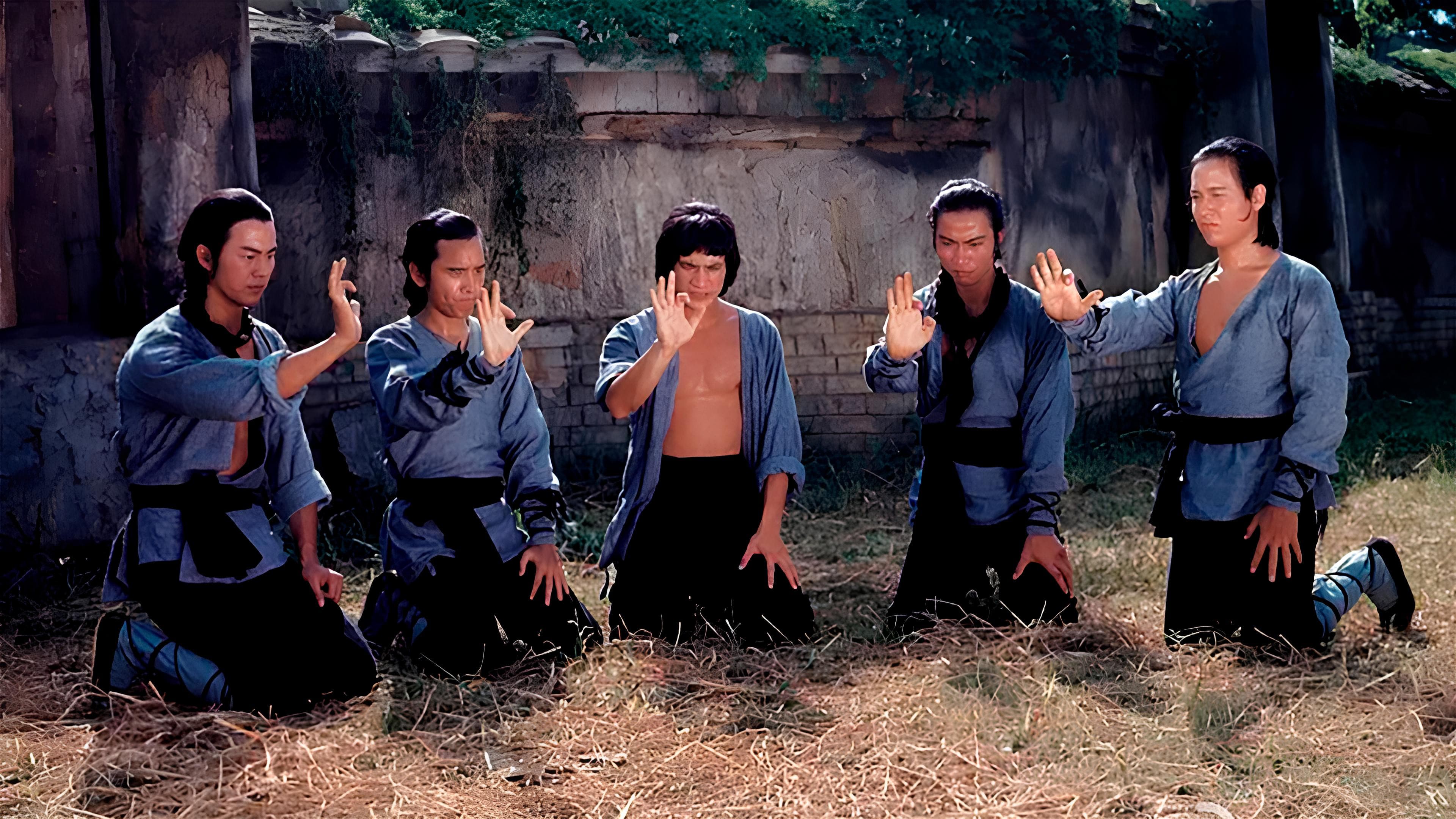 Los 5 maestros de Shaolin