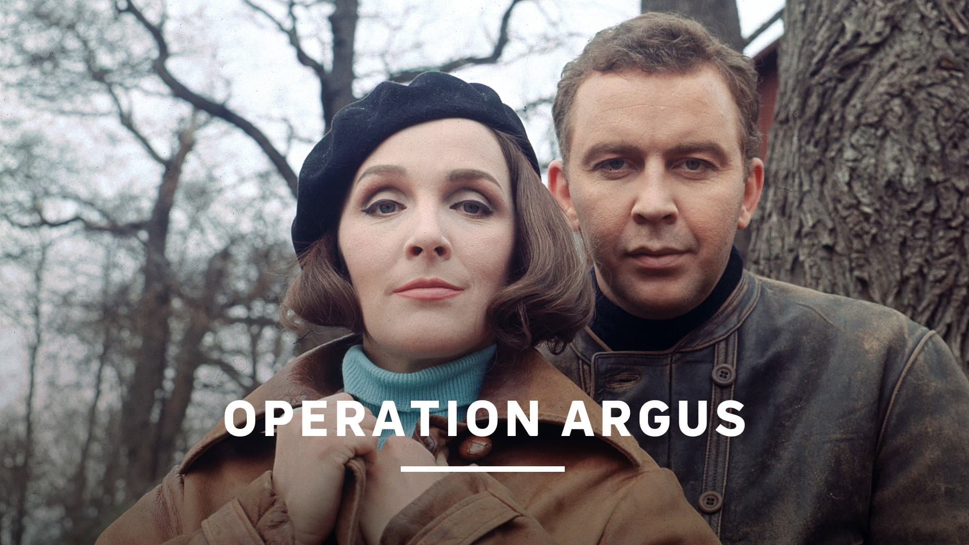 Operation Argus