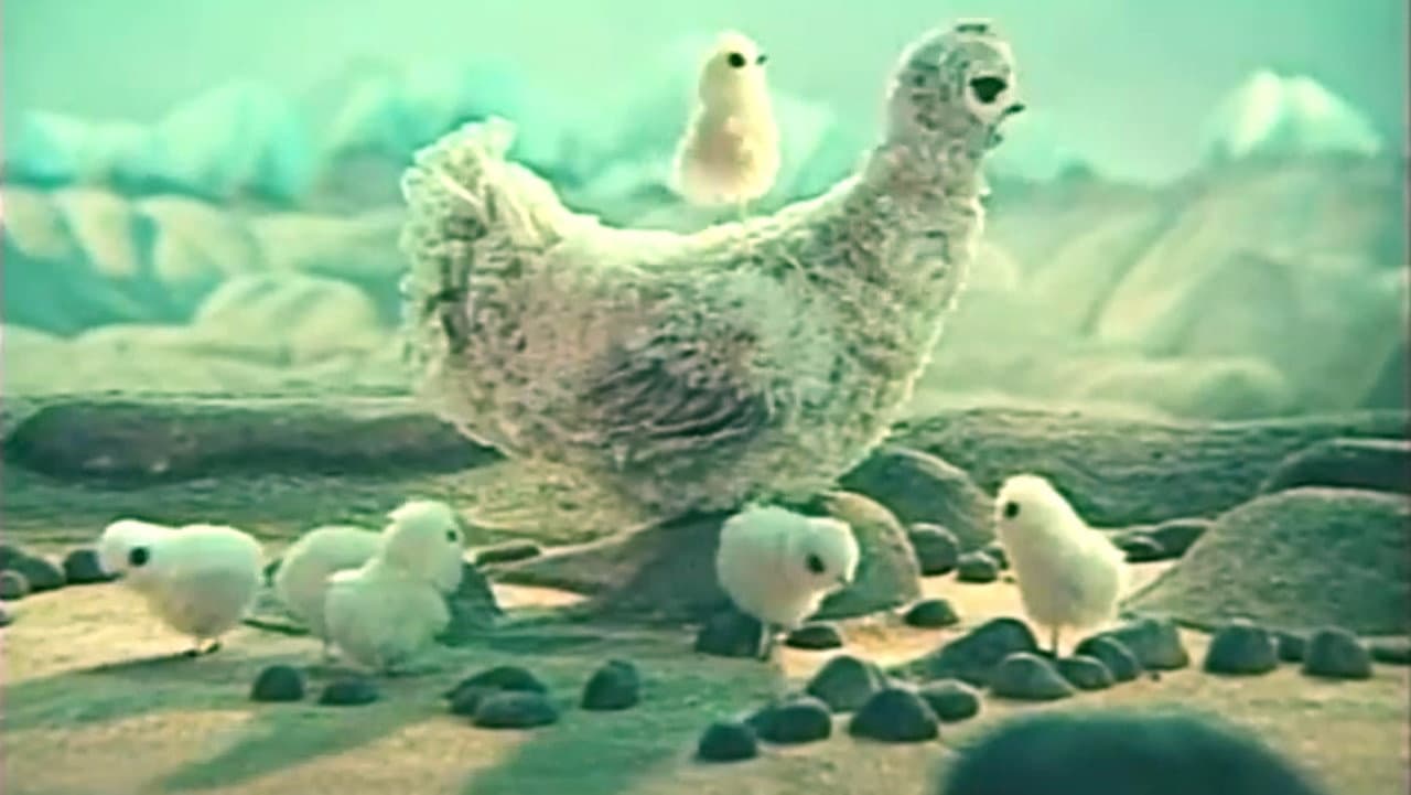 Цыплёнок