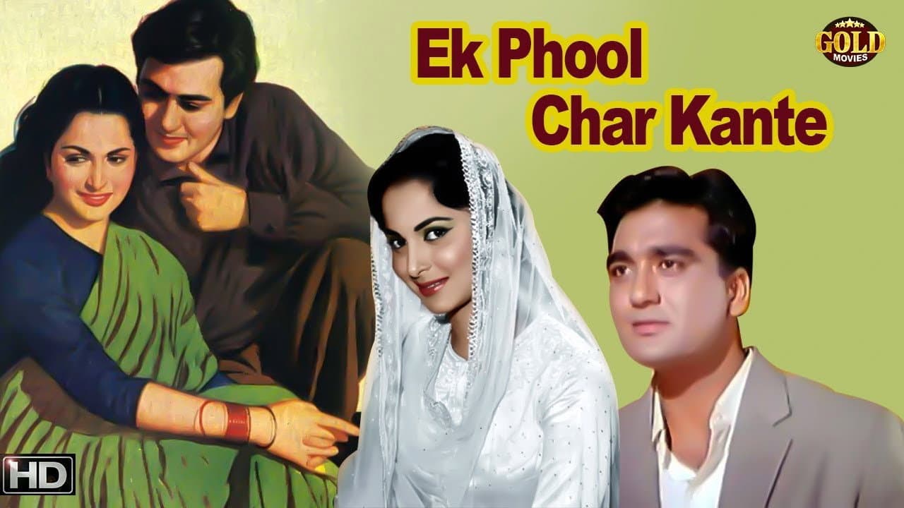 एक फूल चार काँटे