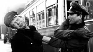 Korczak — foto 4