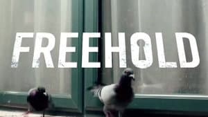 Freehold — foto 1