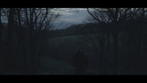 Dig Another Grave — foto 7
