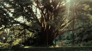 Abogbaybay — foto 1