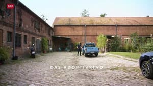Episodio 6