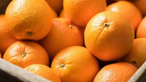 The Colour Orange — foto 7