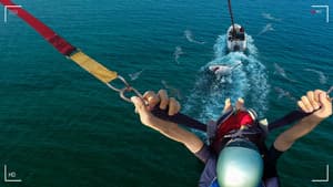 Caught! Sharks Strike Back — foto 1