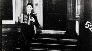 Accordion Player — foto 1