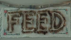Feed — foto 1