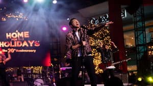 A Home for the Holidays: The 20th Anniversary — foto 2