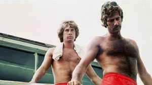Lifeguard — foto 1