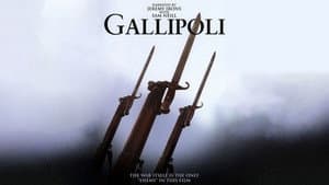 Gelibolu — foto 2