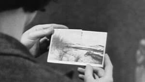 Jonge harten — foto 2