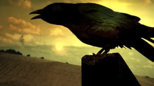 Highlander: The Raven — foto 2