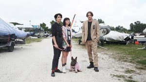 Il colpo del cane — foto 1