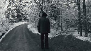 Blindlings — foto 2